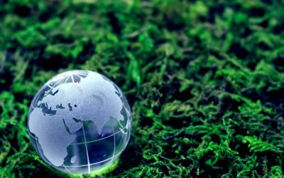 Comment les Pelouses de Golf Dévastent la Biodiversité et Ce Qu&rsquo;on Peut y Faire