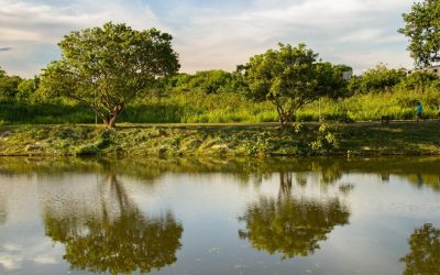 Les catastrophes naturelles qui pourraient sauver la planète