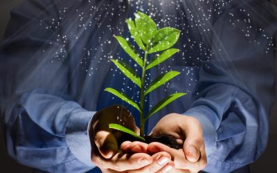 Ces animaux ingérables qui vont sauver la planète