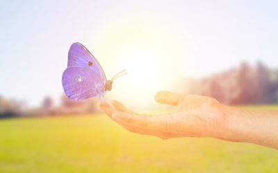 Comment les jeux vidéo sauvent la planète : la vérité derrière l&rsquo;écran