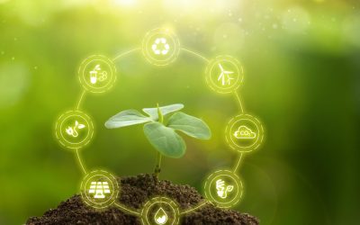 Le Surprenant Héritage Écologique des Chefs-d&rsquo;Œuvre de l&rsquo;Art Urbain