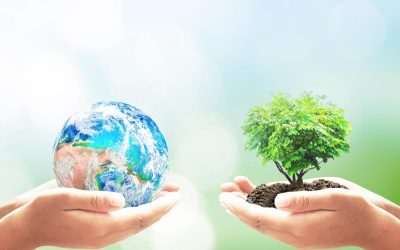 Les abeilles cybernétiques peuvent-elles sauver la planète ?