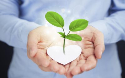 La Révolution Verte des Chasseurs de Tempêtes : Quand la Météo Devient Écologique