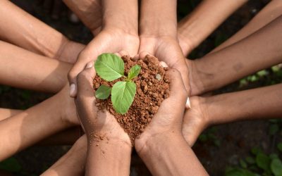 La pollution sonore : le fléau invisible qui bousille notre planète