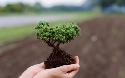 Comment nos habitudes culinaires influencent-elles les migrations animales ?