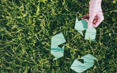 Quand les abeilles militent pour la tech : Comment les ruches connectées changent la donne écologique