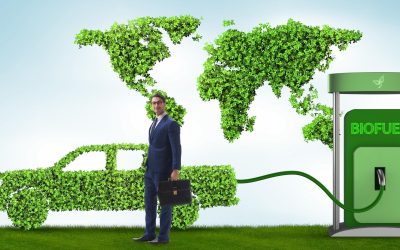 Les écovillages: Utopie verte ou modèle d’avenir?